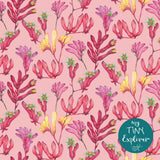 Pre-Order - MTE - Kangaroo Paws -  Dusty Pink