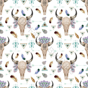 Ongoing | Pre-Order | Longhorns and Feathers